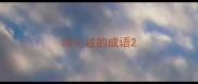 没见过的成语