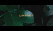 成语解释和造句