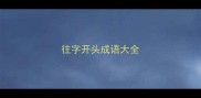 往字开头成语大全