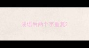 成语后两个字重复