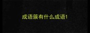 成语簇有什么成语