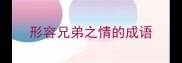 形容兄弟之情的成语