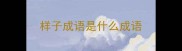 样子成语是什么成语