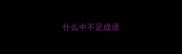 什么中不足成语