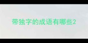 带独字的成语有哪些