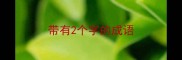 带有2个字的成语