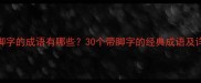 带脚字的成语有哪些30个带脚字的经典成语及详细