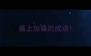 痛上加痛的成语