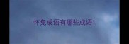 怀兔成语有哪些成语