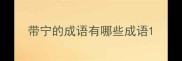 带宁的成语有哪些成语