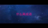 什么稀成语