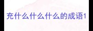 充什么什么什么的成语