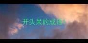 开头呆的成语