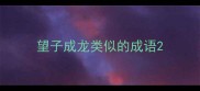 望子成龙类似的成语