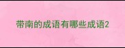 带南的成语有哪些成语