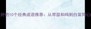 形容婚姻美好的10个经典成语推荐从琴瑟和鸣到白首同心的浪漫解读