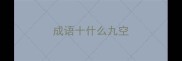 成语十什么九空