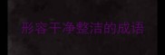 形容干净整洁的成语