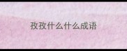 孜孜什么什么成语
