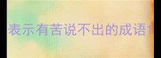 表示有苦说不出的成语