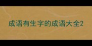 成语有生字的成语大全
