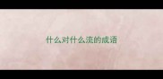 什么对什么流的成语