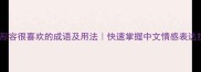 20个形容很喜欢的成语及用法快速掌握中文情感表达技巧