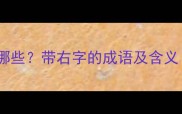 第二字是右的成语有哪些带右字的成语及含义附100个实用例句