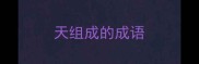 天组成的成语