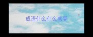 成语什么什么感受