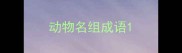 动物名组成语