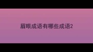 眉眼成语有哪些成语