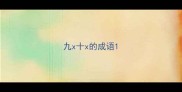 九x十x的成语