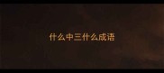 什么中三什么成语