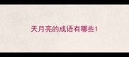 天月亮的成语有哪些