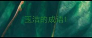 玉洁的成语