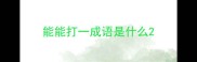 能能打一成语是什么