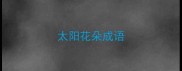 太阳花朵成语