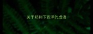 关于郑和下西洋的成语