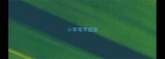 小学常考成语