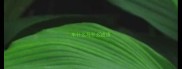 车什么马什么成语