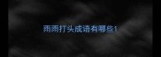 雨雨打头成语有哪些
