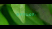 里字开头成语