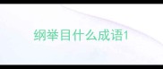 纲举目什么成语