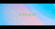 大中的成语