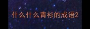 什么什么青衫的成语