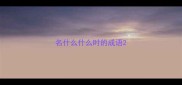 名什么什么时的成语