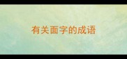 有关面字的成语
