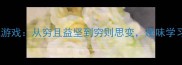 Qiong开头的成语接龙游戏从穷且益坚到穷则思变趣味学习成语的十大经典案例