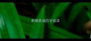 新婚祝福四字成语